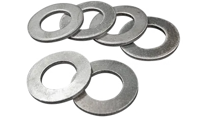 Шайбы - вид 3